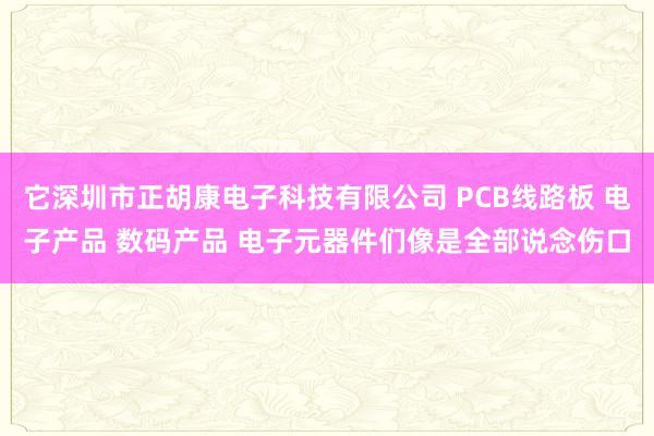 它深圳市正胡康电子科技有限公司 PCB线路板 电子产品 数码产品 电子元器件们像是全部说念伤口